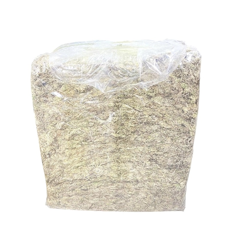 Sphagnum Moss Dry - Musgo Sphagnum 5KG a Granel Comprimido
