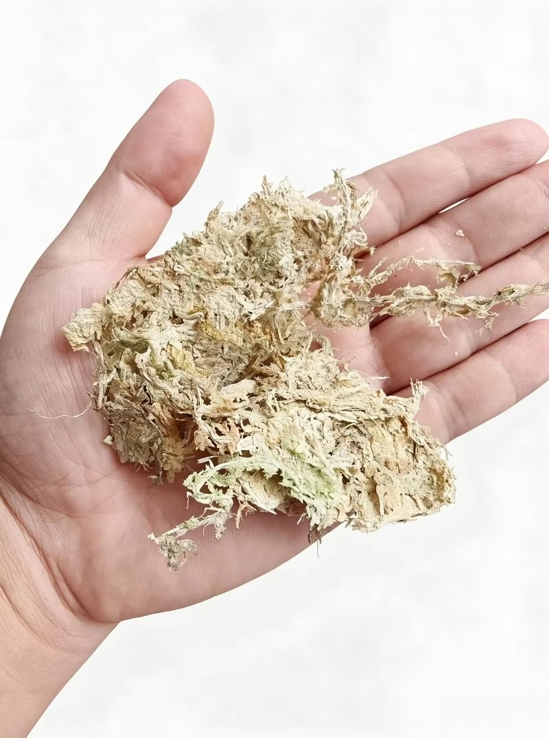 Sphagnum Moss Dry - Musgo Sphagnum Premium para Orquídeas, Bloco