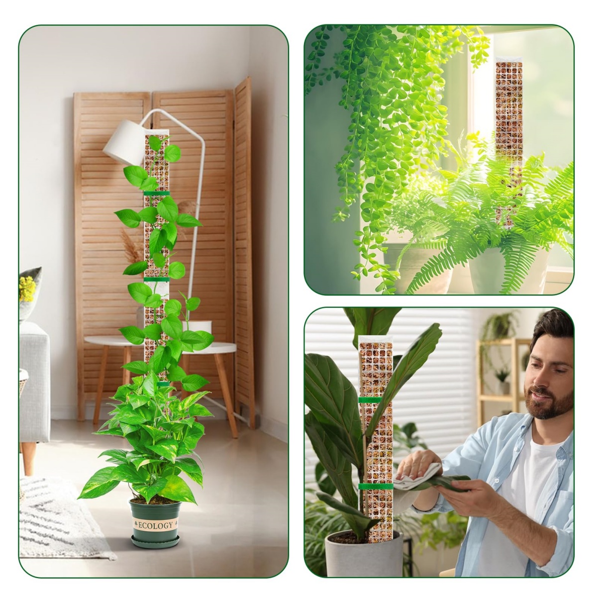 Suporte de Plástico Empilhável - Sphagnum Moss Dry avaliação e preço