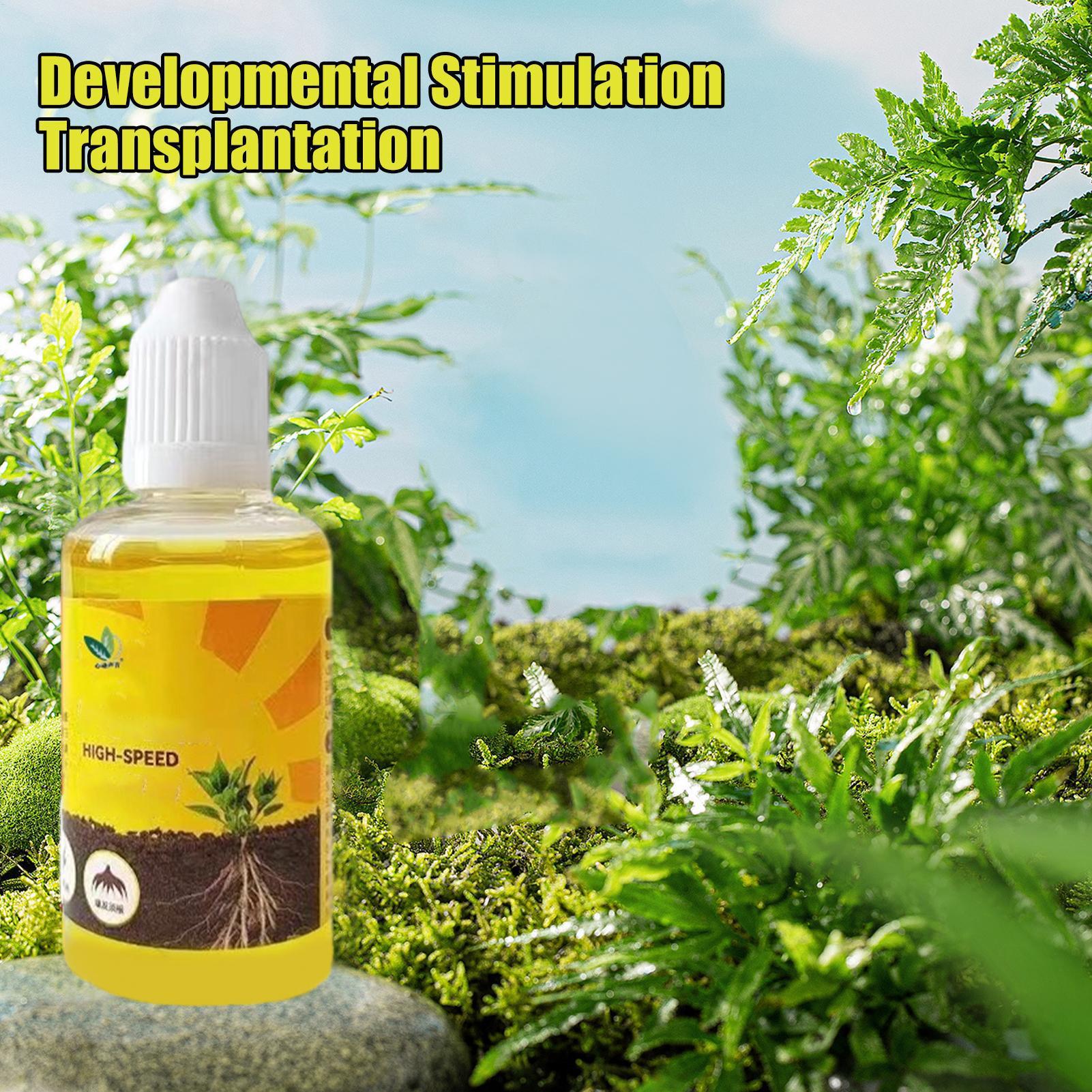 Estimulador de Enraizamento de - Root Stimulator Liquid avaliação e preço