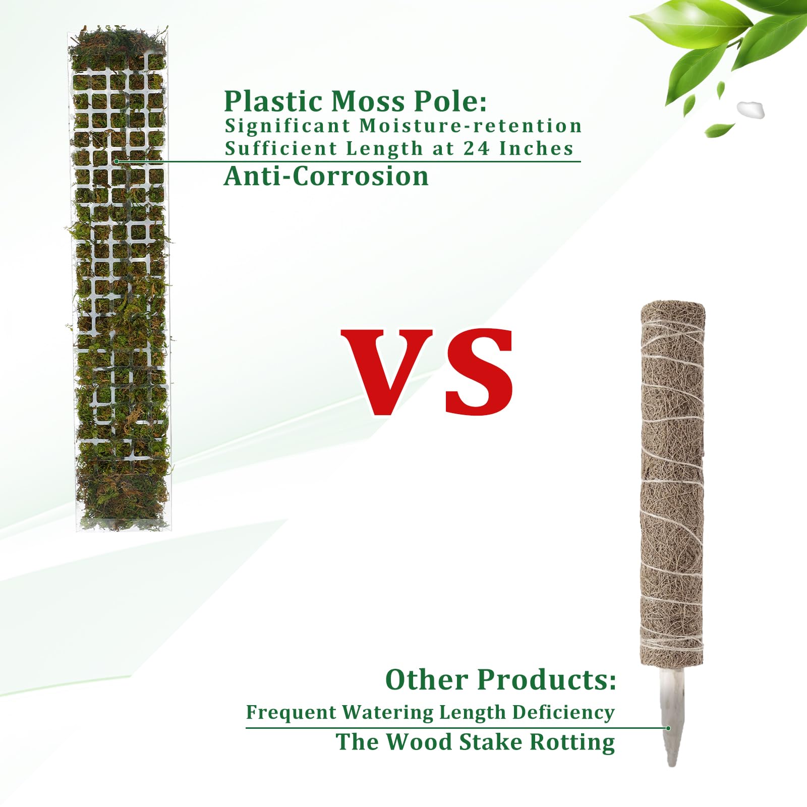 Pólo de musgo plástico planta  - Sphagnum Moss Dry avaliação e preço