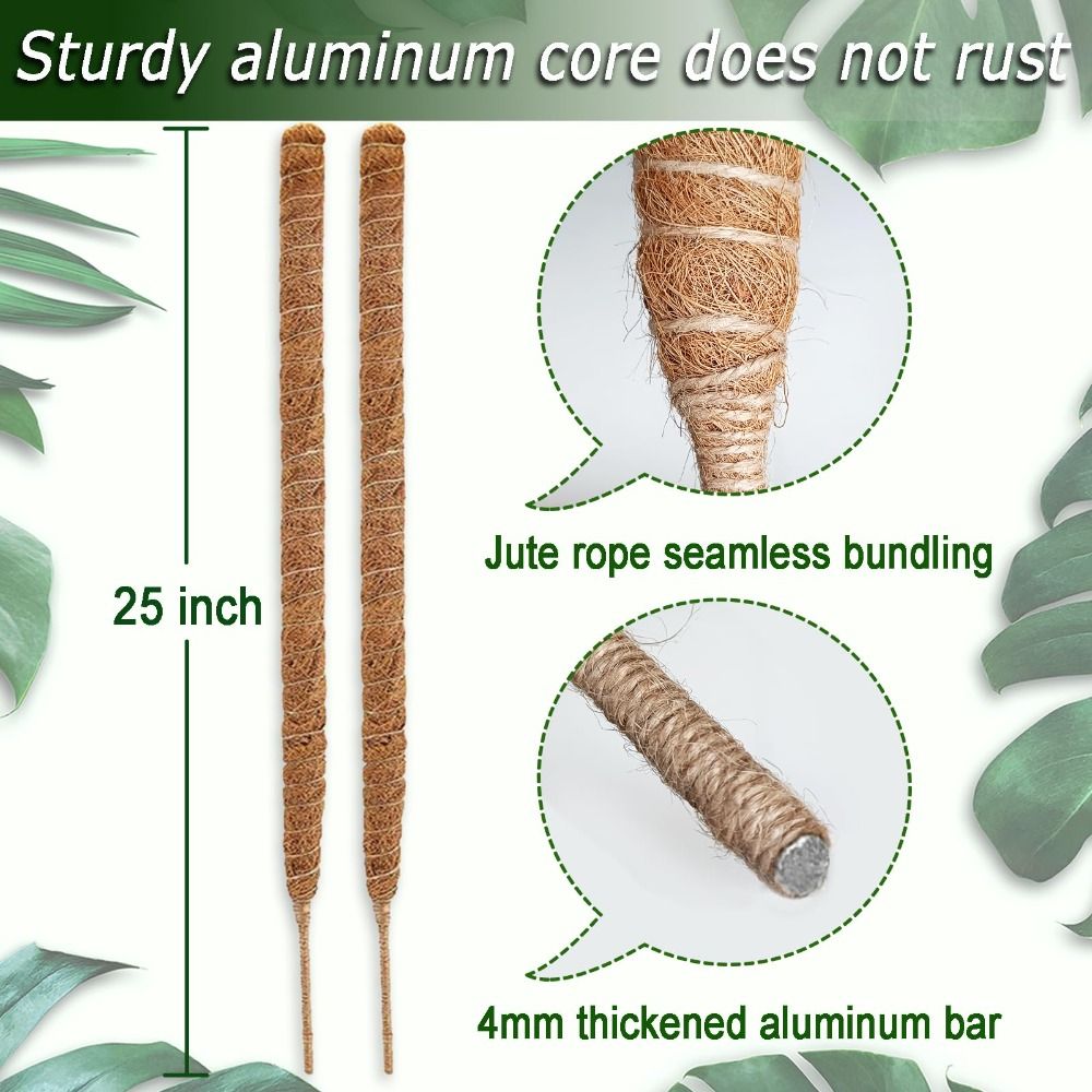 Suporte para Plantas em Palha  - Sphagnum Moss Dry avaliação e preço