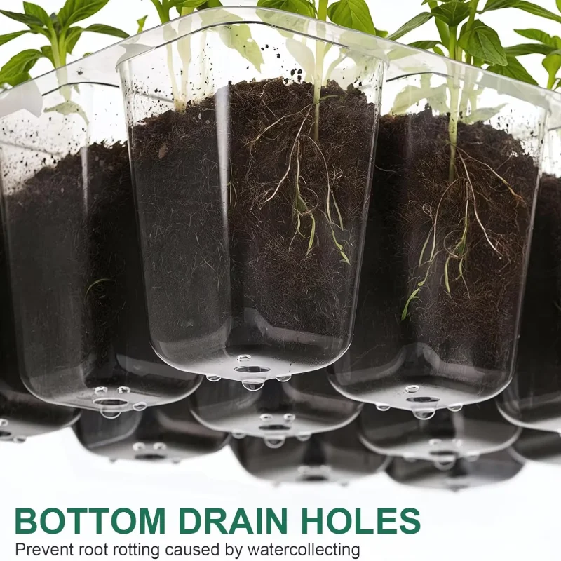 Kit de Germinação com Bandeja  - Humidity Dome Kit avaliação e preço