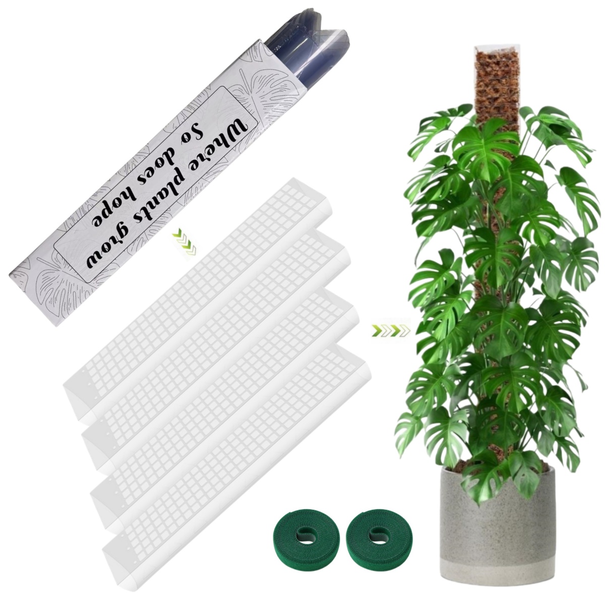 Suporte de Plástico para Plant - Sphagnum Moss Dry avaliação e preço