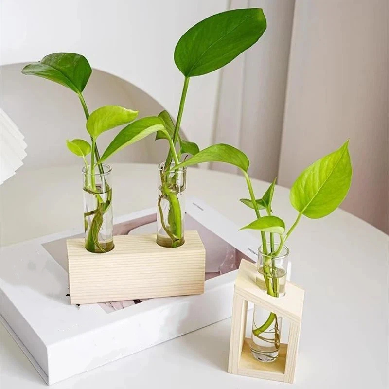 Vaso de vidro para tubos de en - Propagation Station Vase avaliação e preço