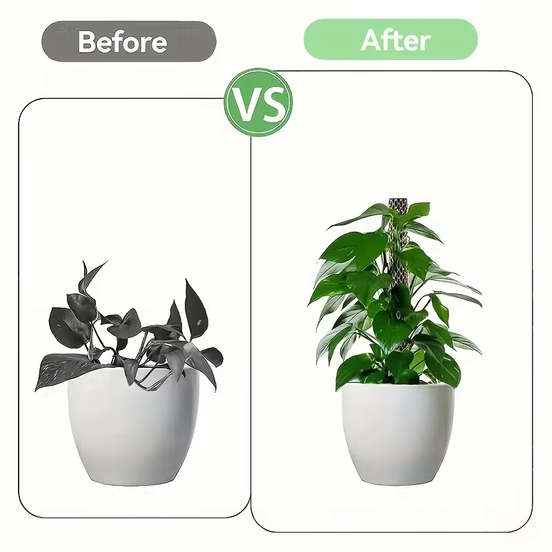 1 Conjunto de Estacas de Plást - Sphagnum Moss Dry avaliação e preço